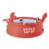 Piscinette Autoportée Intex Crabe 1,83 X 0,51 M -Equipements De Piscine 26100np raviday piscine intex crabe min