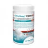 Bayrol E.Chlorilong POWER 5 - Galets De Chlore à Dissolution Lente 1kg -Equipements De Piscine e chlorilong power5 1kg 1