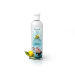 Parfum De Spa à Base D'huiles Essentielles De Cajeput Et De Citron Camylle 250 Ml -Equipements De Piscine parfum spa huiles essentielles cajeput citron camylle 250 ml 2