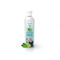 Parfum De Spa à Base D'huiles Essentielles D'Eucalyptus Et Menthe 250 Ml -Equipements De Piscine parfum spa huiles essentielles eucalyptus menthe camylle 250 ml 2