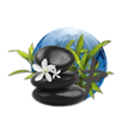 Parfum De Spa à Base D'huiles Essentielles Orient 250 Ml 8 Parfum De Spa à Base D'huiles Essentielles Orient 250 Ml -Equipements De Piscine parfum spa huiles essentielles orient camylle 250 ml 2