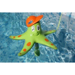 Thermomètre Kerlis étoile De Mer - Vert -Equipements De Piscine thermometre kerlis etoile vert 1